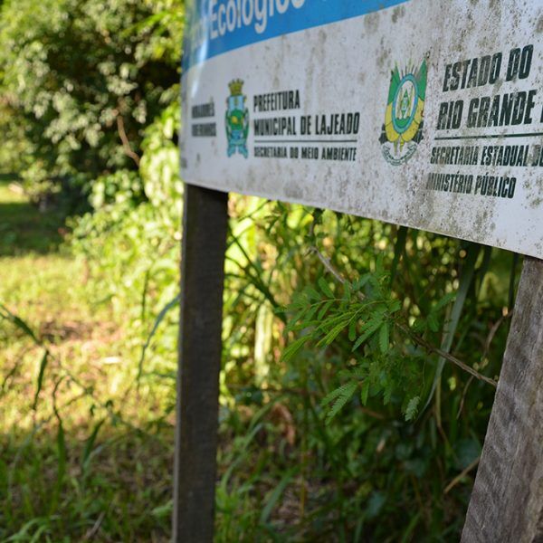 Ministério Público analisa 88 inquéritos ambientais em 2017