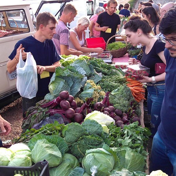 Novos pontos de venda fortalecem a produção agroecológica