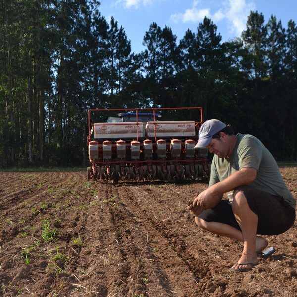 Produtores cultivam menor área da história