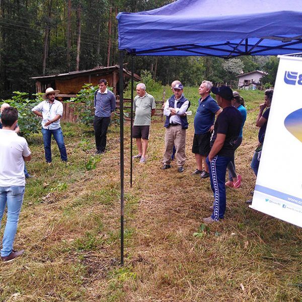 Tarde de campo apresenta técnicas para a fruticultura
