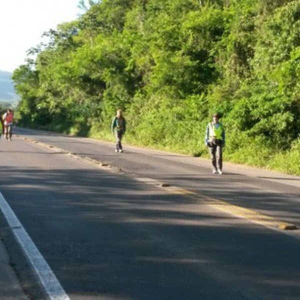 Daer monitora animais silvestres na Rota do Sol