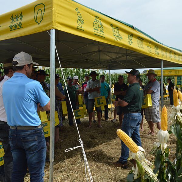 Dia de Campo reúne 250 produtores na Cooperval