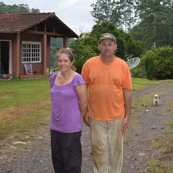 Sem o CAR, produtor perde direito ao crédito rural