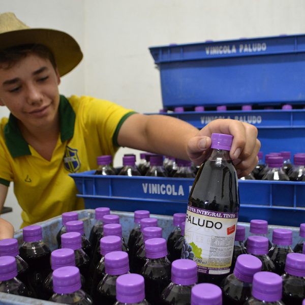 Benefícios fazem a produção de suco avançar