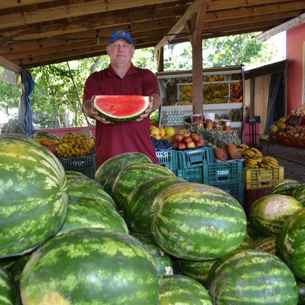 Melancia a fruta do verão