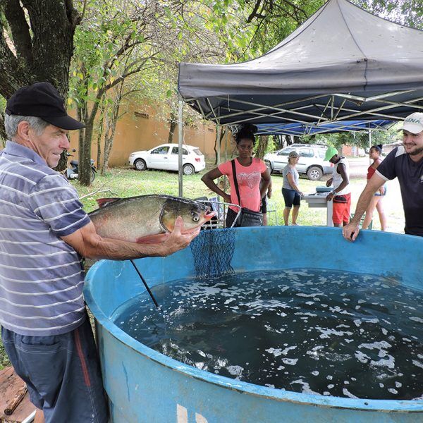 Volta da feira é uma incógnita