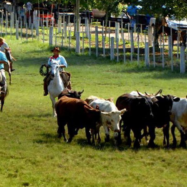 Rodeio do CTG Sinuelo da Amizade chega à 60ª edição