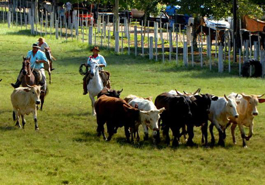 Rodeio do CTG Sinuelo da Amizade chega à 60ª edição