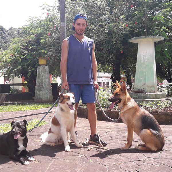 “Qualquer pessoa pode treinar seu cachorro”