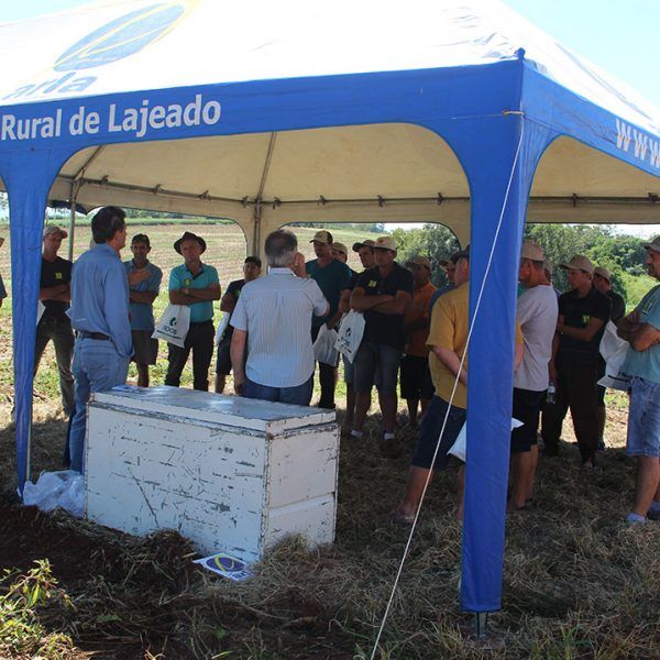 Cultivo da soja pauta Dia de Campo na Cooperval