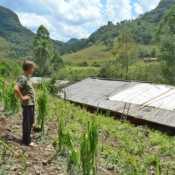 Granizo causa prejuízos superiores a R$ 800 mil
