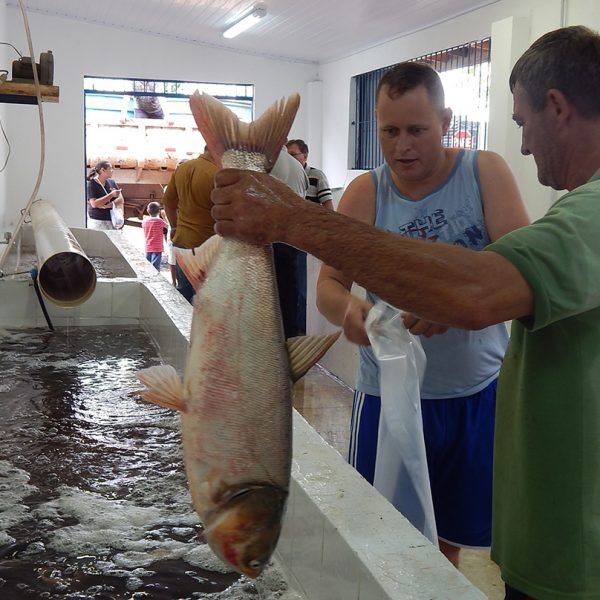 Feira reabre no dia 10
