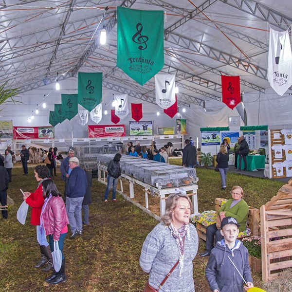 Festa de Maio projeta mais de 100 mil pessoas