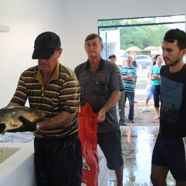 Região prepara feiras do peixe