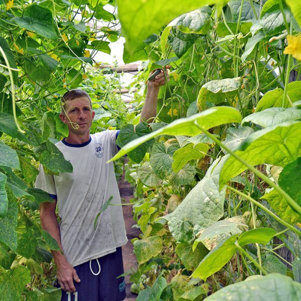 Programa realiza o sonho da terra própria 