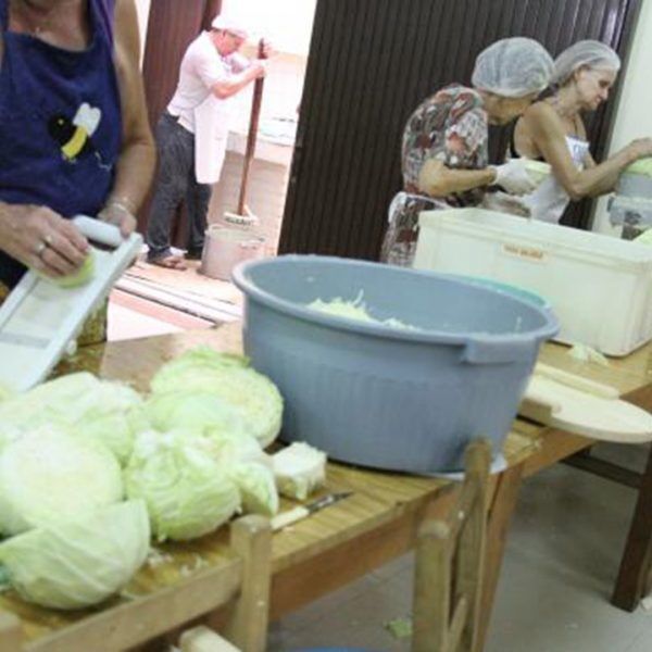 Qualidade do chucrute é aprovada