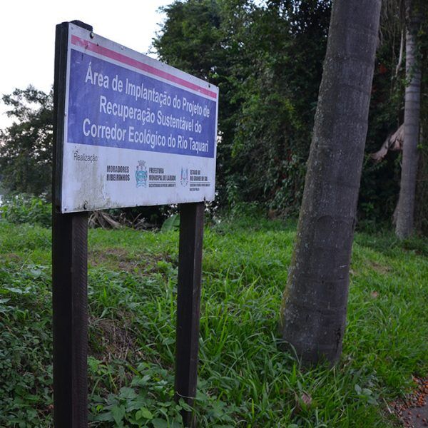 Imóveis em áreas florestais podem ter desconto no IPTU