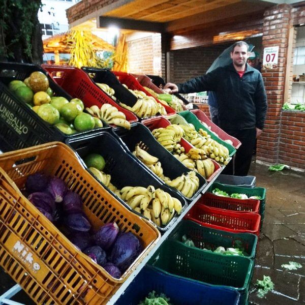 Programa gera renda e valoriza produção local