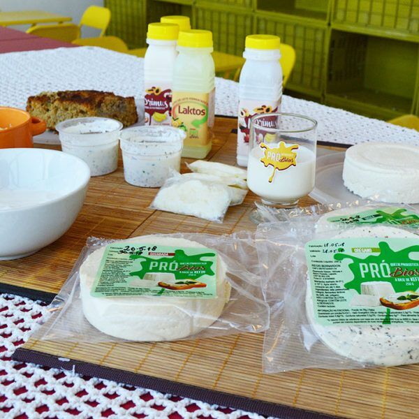 Uma nova lembrança gustativa do kefir