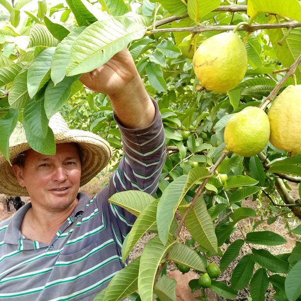 Sanidade garante melhor preço