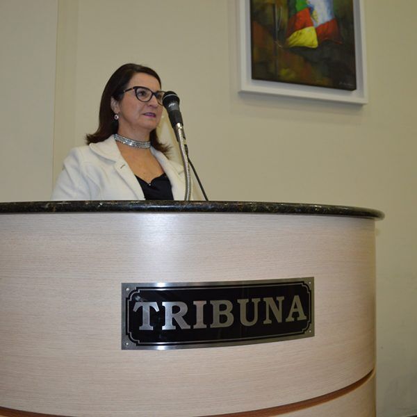 Três empresas recebem reconhecimento da câmara