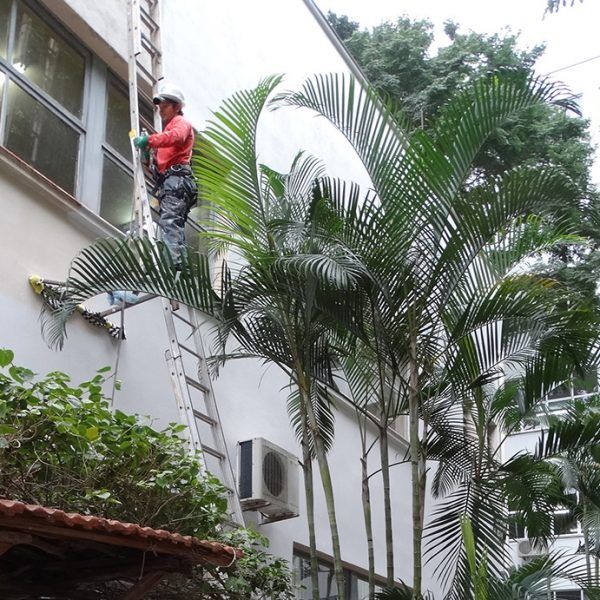 Casa de Cultura é reformada