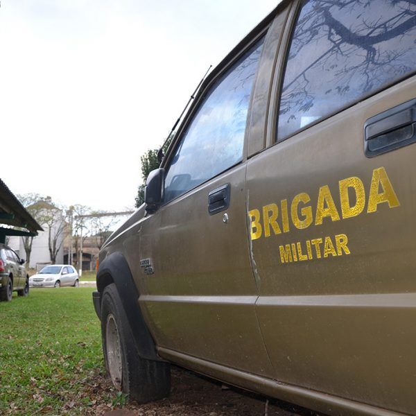 Sem patrulha, caça ameaça espécies