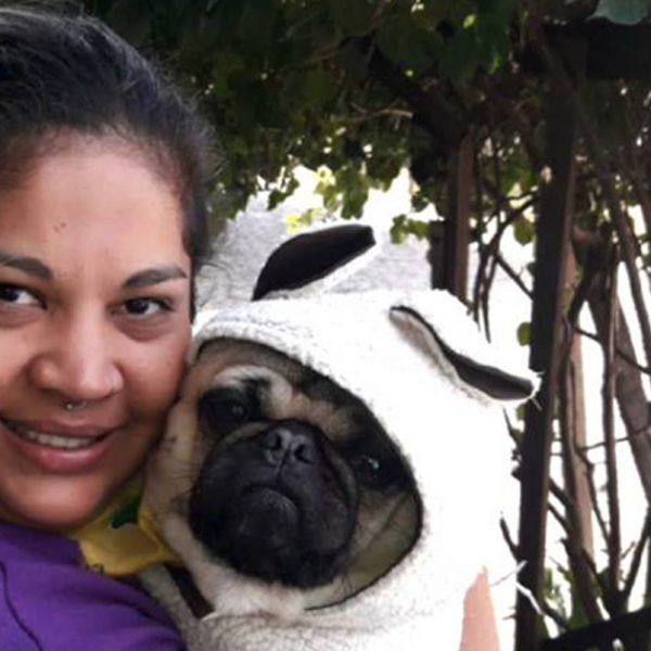 Moda dos bichinhos