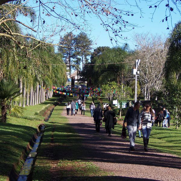 Festival no Jardim Botânico reuniu 600 pessoas