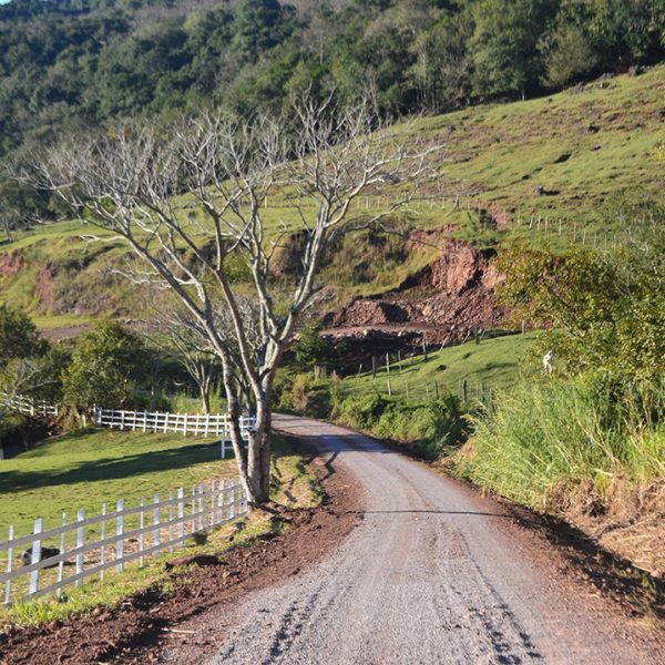 Turismo rural e associações de água são beneficiados na Consulta Popular