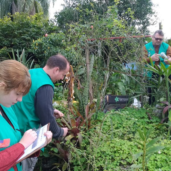 Agentes vistoriam bairros para mapear focos do Aedes