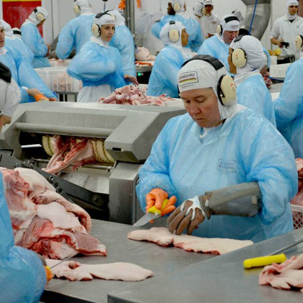 Venda de carne à Rússia anima indústria nacional