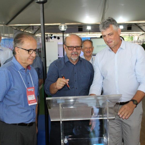 Dália e Languiru firmam parceria inédita