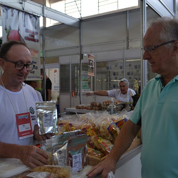 Batata-doce é transformada em farinha