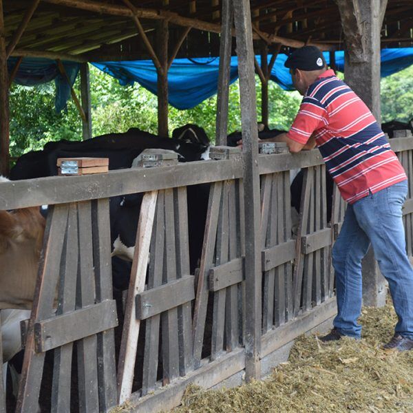 Normas em vigor e mais apreensão no meio rural
