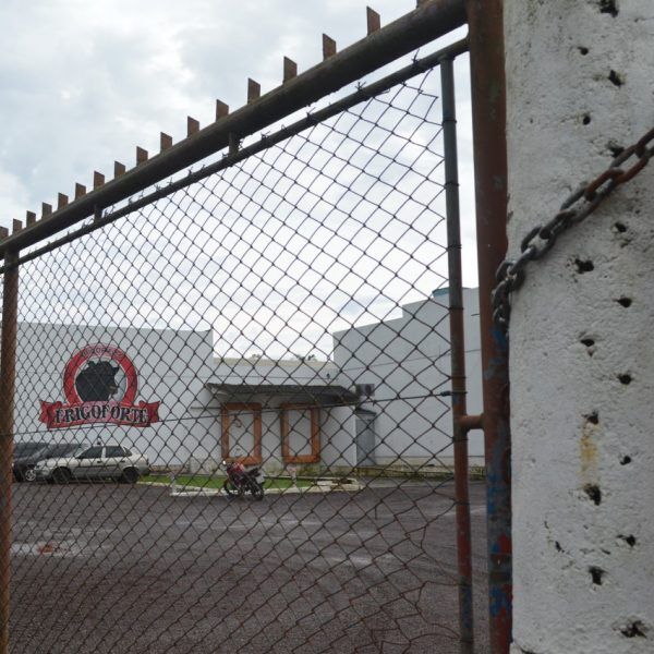 Venda de “gado fantasma” teria lavado R$ 900 mil