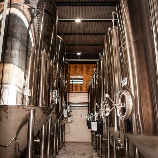 Cerveja artesanal: a retomada de um negócio centenário