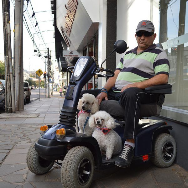 “Esses cães são meus filhos amados”