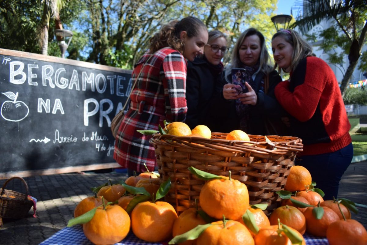 “Bergamoteando” fortalece gastronomia e amizades