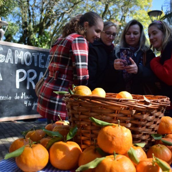 “Bergamoteando” fortalece gastronomia e amizades