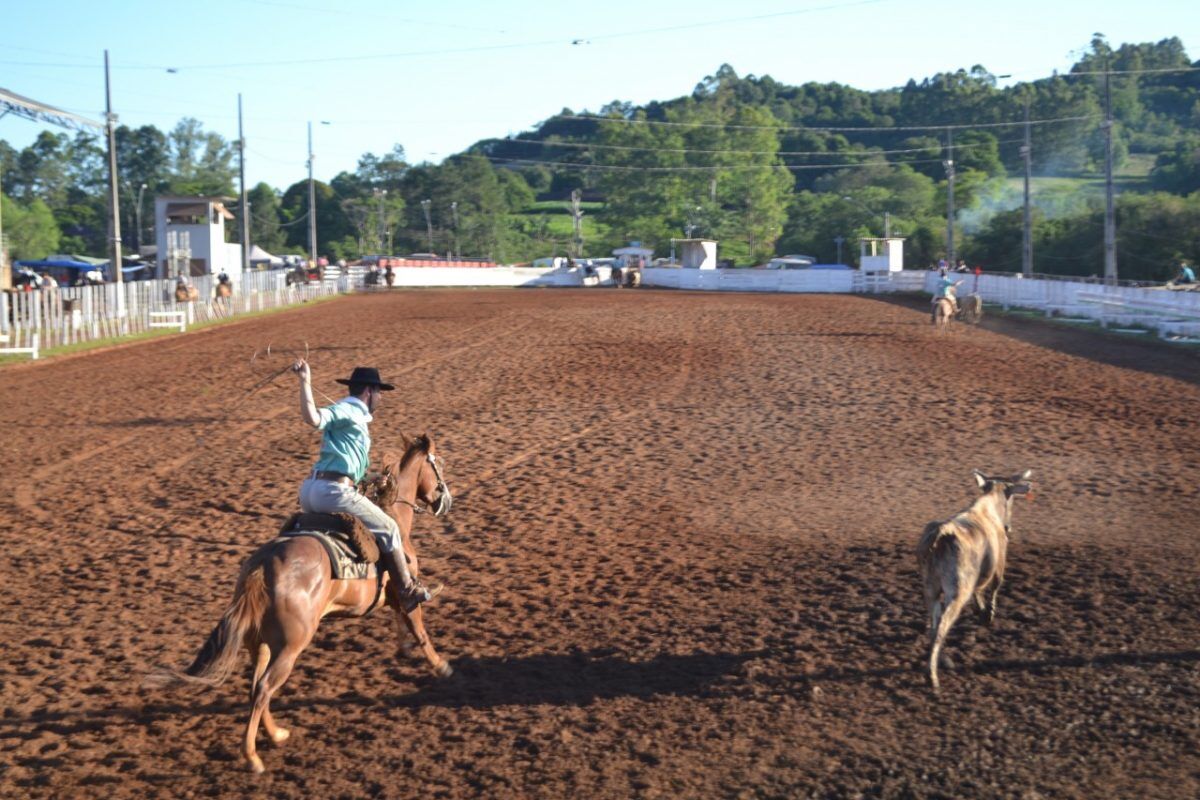 Rodeio crioulo segue com disputa do tiro de laço até amanhã