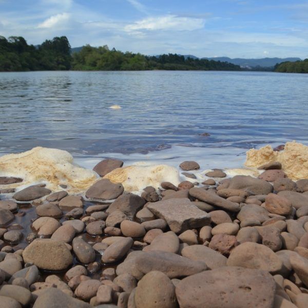 Órgãos investigam causa de espuma no rio