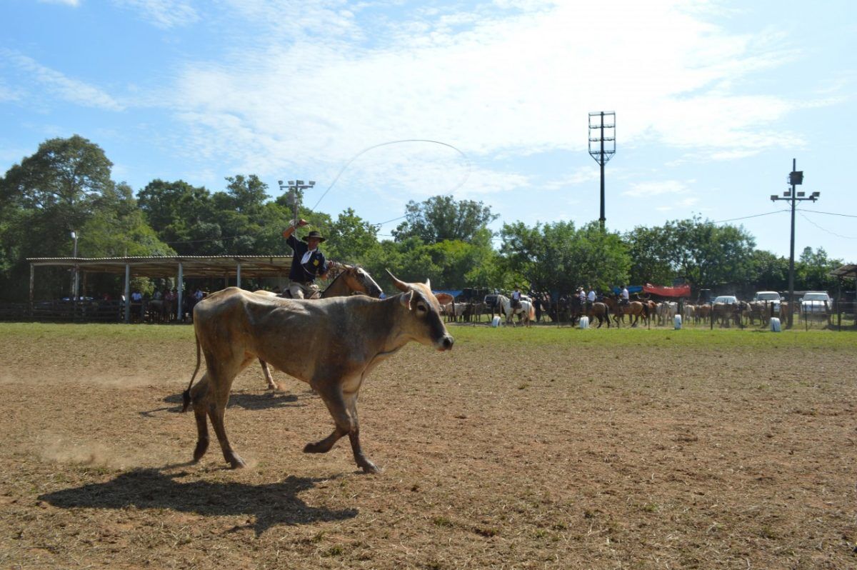 Mais de 300 laçadores no rodeio crioulo de Estrela