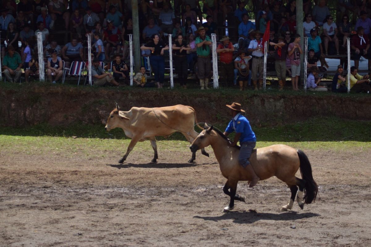 Rodeio supera expectativa e atrai cinco mil pessoas