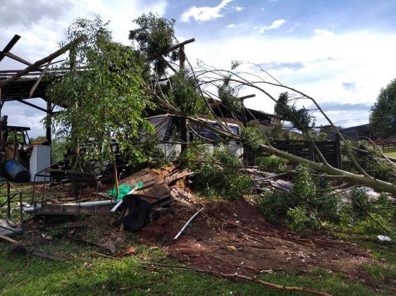 Temporal destelha 25 casas e derruba 30 árvores em Cruzeiro do Sul