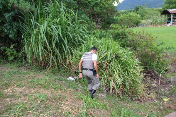 BM persegue ladrões nas proximidades do acesso a Muçum