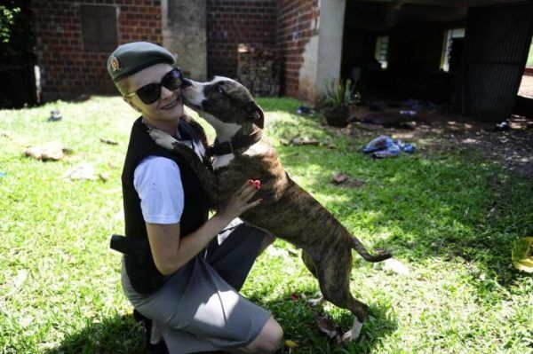 Apama e BM resgatam duas fêmeas de Pit Bull em casa onde três foram mortos em Estrela