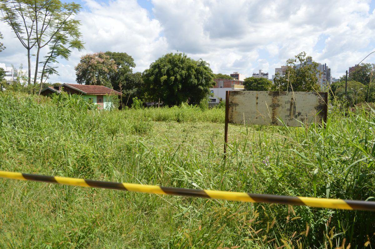 Jardineiro é atacado por enxame de abelhas no bairro Hidráulica
