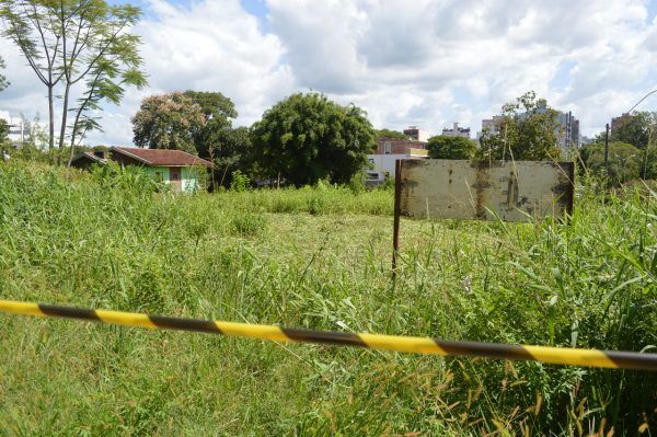 Jardineiro é atacado por enxame de abelhas no bairro Hidráulica