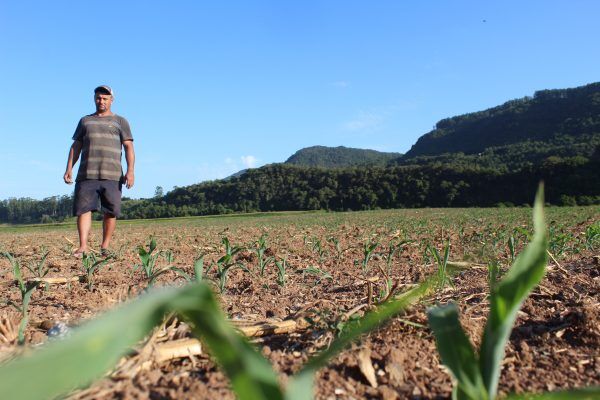 Perdas na agricultura ultrapassam R$ 4,8 bilhões